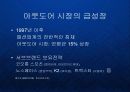 마운틴하드웨어와 익스트림 아웃도어 시장전략 PPT 9페이지