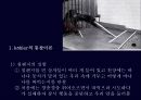[교육학] 학습이론 유형 17페이지