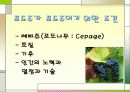 프랑스문화, 와인에 대해서 4페이지
