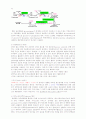 Glycolysis  &  Gluconeogenesis 5페이지