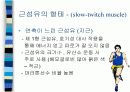 근력과 지구력, 근파워의 회복 8페이지