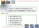 관광개발 - 인천 서해안 테마 구역 개발 3페이지
