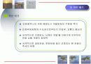 관광개발 - 인천 서해안 테마 구역 개발 17페이지
