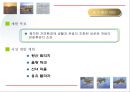 관광개발 - 인천 서해안 테마 구역 개발 22페이지
