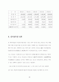 플레시 메모리 사업계획서 30페이지