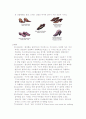 슈즈(shoes)의 모든것 4페이지