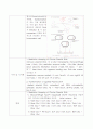 [생물실험, 생화학 실험] circular 플라스미드 DNA 제한효소자리 mapping 2페이지