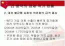 중국의 경제위기에 관한 보고서 12페이지