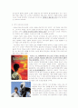 [일본,일본영화,감독론,] 구로사와 아키라의 작품세계 7페이지