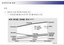 삼성전자 애니콜의 유럽시장 진출전략 23페이지