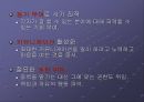 다국적기업의경영철학 28페이지
