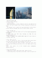 Political System& Case study 10페이지