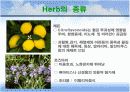허브의 사용 9페이지