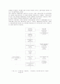 [도시공학]한국 도심재개발사업의 문제점과 방향  10페이지