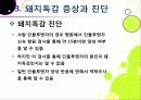 [돼지독감]돼지독감ppt, 돼지독감의 이해와 대처 방안, 돼지독감 감염 증상과 대처 방안, 돼지독감(바이러스) 예방을 위한 방법 12페이지