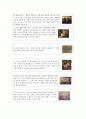 근대 미술사 최소 정리  7페이지
