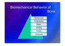 Biomechanic of bone 19페이지