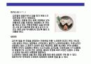 스시[すし]에 대한 이해  13페이지