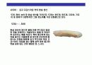 스시[すし]에 대한 이해  20페이지