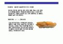 스시[すし]에 대한 이해  22페이지
