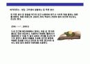 스시[すし]에 대한 이해  25페이지