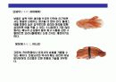 스시[すし]에 대한 이해  28페이지