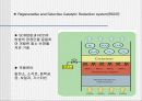 [환경]질소산화물&질소산화물처리기술의정의&처리기술의종류&질소산화물에 관한 모든것^-^ 37페이지