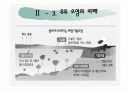 해양 환경오염의 원인과 피해에 대하여(특히, 유류 오염) 21페이지