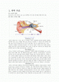 청각 특성과 마스킹 효과의 분석 1페이지