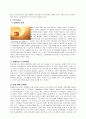 설화수 성공사례 14페이지