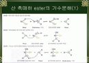 에스터 가수분해 세미나 6페이지