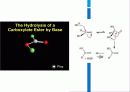 에스터 가수분해 세미나 11페이지