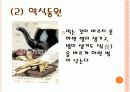 [음식문화A+]조선시대 전통 음식문화(제사음식/혼례음식)와 현대 음식문화(웰빙/패스트푸드) 비교분석 9페이지