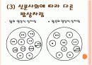 [음식문화A+]조선시대 전통 음식문화(제사음식/혼례음식)와 현대 음식문화(웰빙/패스트푸드) 비교분석 13페이지
