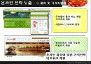 김수미 더맛김치 인터넷마케팅을통한 시장선두탈환전략 10페이지