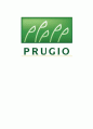 푸르지오(prugio)마케팅전략과 경영분석 1페이지