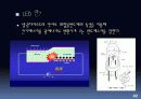 새롭게 떠오르는 조명 LED (Light Emitting Diode) 4페이지