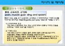 [마사지및테이핑] 관절 유동의 원리 21페이지