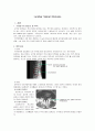 [간호학]Lumbar Spinal Stenosis 3페이지