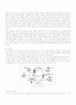 지구과학교육과 - 7차 교육 과정에서의 11학년 과학 중 날씨의 변화 단원의 탐구 학습 모형을 적용한 수준별 학습 지도안 16페이지