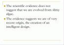 창조론과진화론 영문 Creationism vs. Evolutionism 20페이지