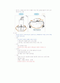 청주대학교 현대생활과패션(기말) 33페이지