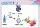 절세와 탈세 10페이지