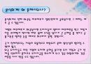 절세와 탈세 14페이지