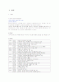 싸이월드 7S 분석 4페이지