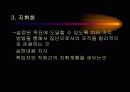 스포츠경영 25페이지