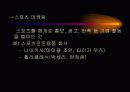 스포츠경영 28페이지