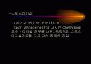 스포츠경영 29페이지