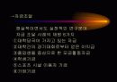 스포츠경영 30페이지