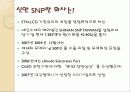 신안 SNP에 대해서 3페이지